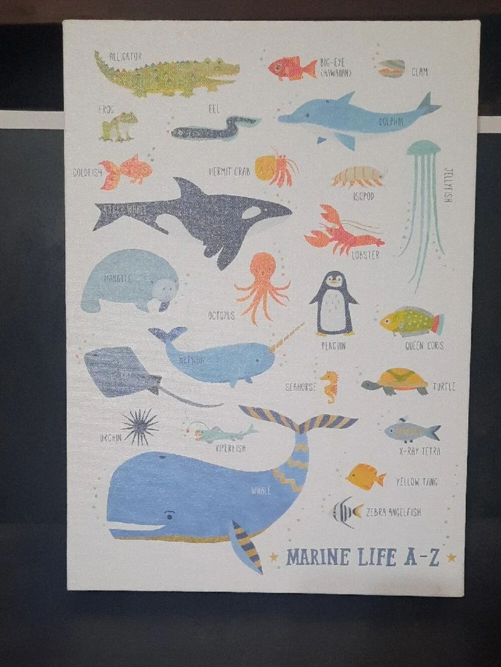 Marine Life A-Z Canvas Print – Blue & Green